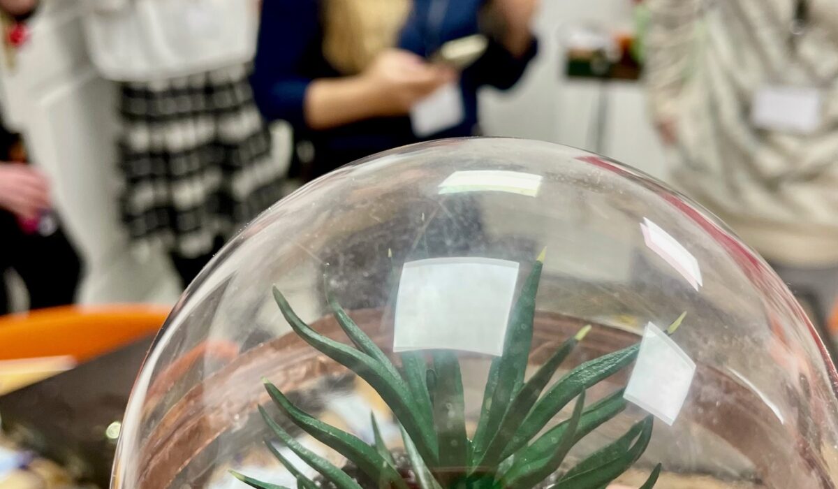 Biosphären-Decoder-5